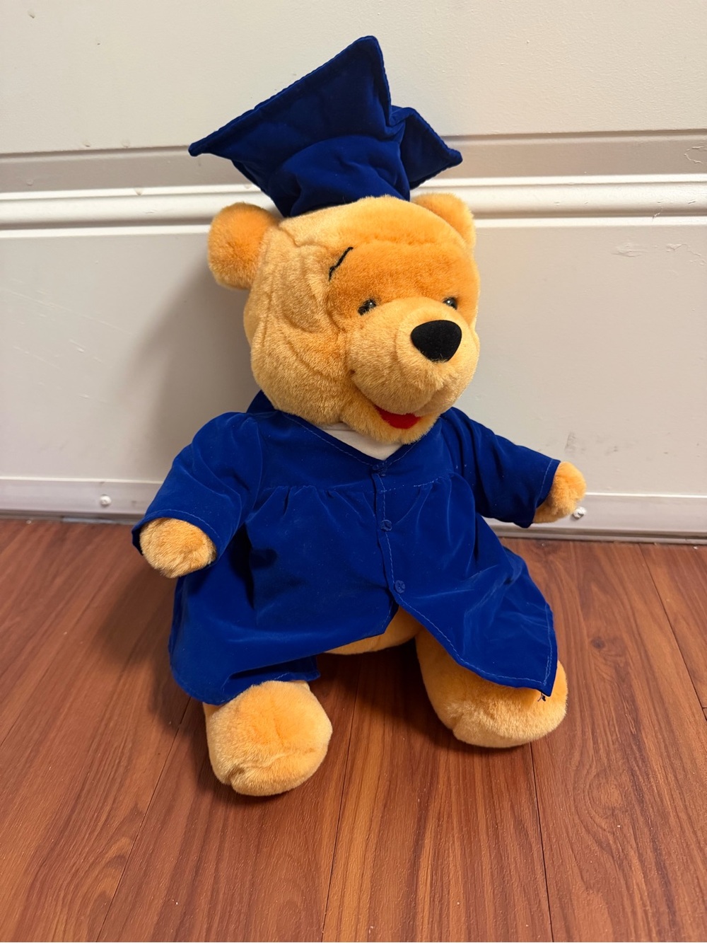Disney Winnie the Pooh Graduation Stuffed Animal - Picture 2 of 6
